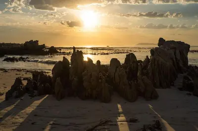 a group of rocks on the beach at sunset at Pringle Bay getaway - 2 bedroom garden apartment in Pringle Bay