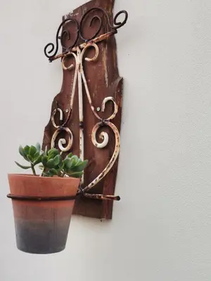 a plant in a pot hanging on a wall at Somerset west Mountain road cottage in Cape Town