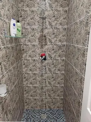 a bathroom with a shower with a tile wall at Charm Nest - Uncapped Wi-fi & Self Check-in in Cape Town