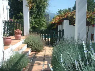 a garden with a fence and some plants at Sunny Lane in Franschhoek