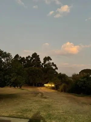 a field with trees and a row of lights at Cottage at Kanu Wines in Cape Town