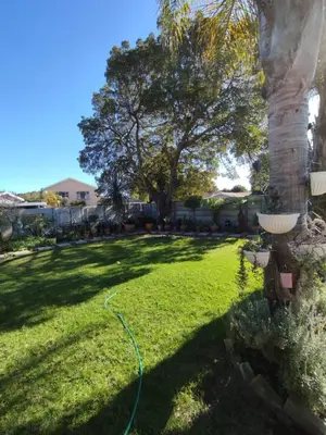 a yard with a hose attached to a palm tree at 5 BEDROOM CAPE TOWN FAMILY HOME PET FRIENDLY in Cape Town