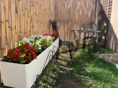 a white planter filled with flowers next to a fence at The Charming Place in Cape Town