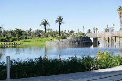 a lake with a bridge and palm trees in a park at 101 Bridgewater Apartment in Cape Town
