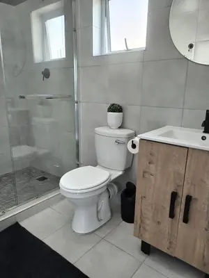 a bathroom with a toilet and a shower and a sink at Harmonie Self Catering in Wolseley