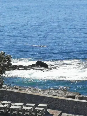 Gallery image of Seaside Respite Main road apartment in Hermanus