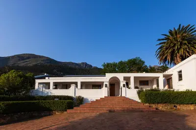 a white house with a palm tree and stairs at La Terra de Luc in Franschhoek
