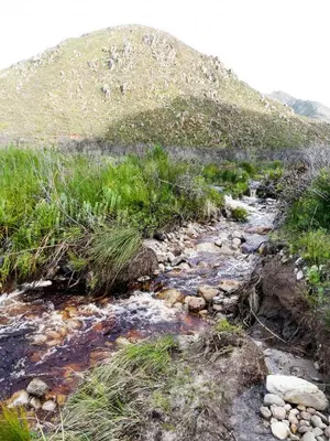 a stream on the side of a mountain at Shalom Self Catering in Kleinmond