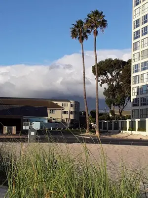 a street with two palm trees and a building at Beach Haven Sea Views, Fritzandi, Strand, Cape Town in Cape Town