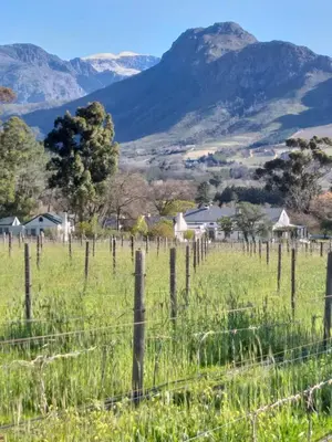 a fence in a field with mountains in the background at L'Auberge Chanteclair in Franschhoek