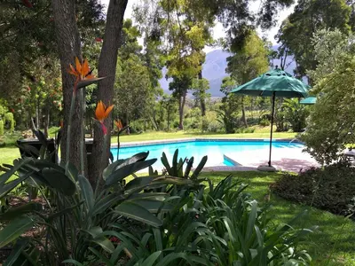 a swimming pool with an umbrella and some plants at L'Auberge Chanteclair in Franschhoek