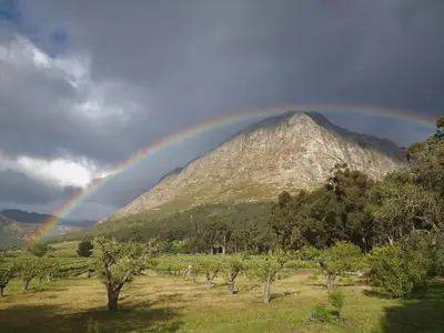 a rainbow over a field with a mountain at L'Auberge Chanteclair in Franschhoek
