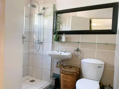 a bathroom with a toilet and a sink and a mirror at Apartment with garden in Cape Town