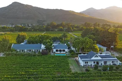 a house in a vineyard with mountains in the background at Fransvliet Guest House in Franschhoek