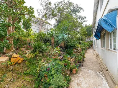 a garden next to a house with plants at Cosy Victorian Style Full Apartment in Cape Town