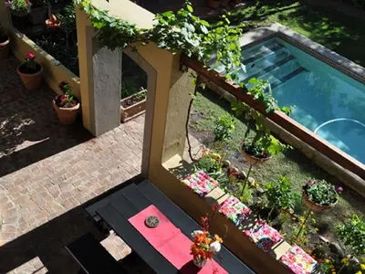 an overhead view of a swimming pool with potted plants at 10 Alexander B&B in Stellenbosch