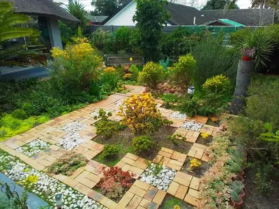 a garden with flowers and plants on a patio at Birdsong Cottage in Cape Town