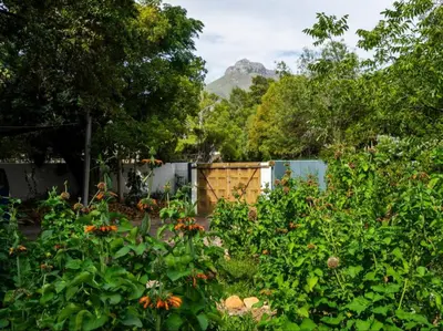 a garden with flowers and a mountain in the background at Kriluki Accommodation in Stellenbosch