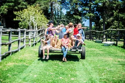 a group of people riding on the back of a truck at High Season Farm Luxury Cottages in Hermanus