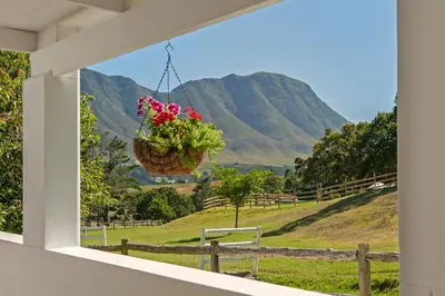a hanging flower basket with a view of a mountain at High Season Farm Luxury Cottages in Hermanus