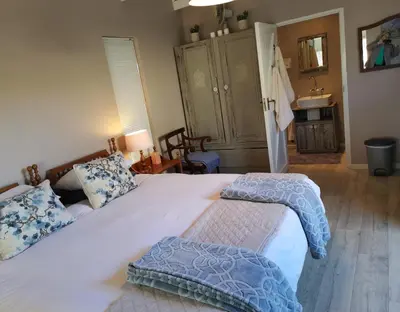 a bedroom with a large white bed with blue pillows at 30 Oak Street in Greyton
