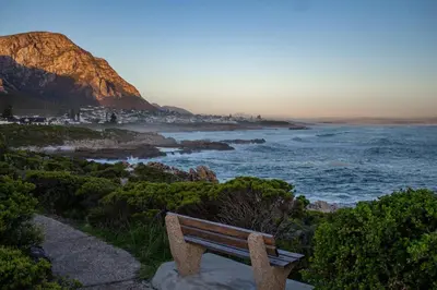 Gallery image of The Wildflower Studio in Hermanus