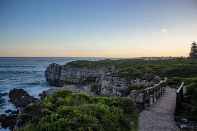 Gallery image of The Wildflower Studio in Hermanus