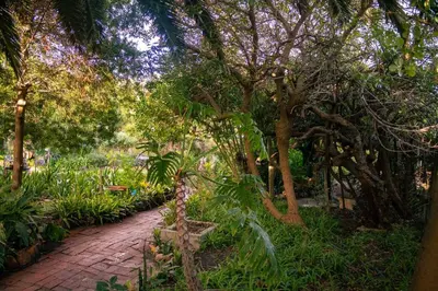 Gallery image of The Wildflower Studio in Hermanus