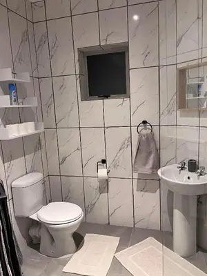 a bathroom with a toilet and a sink and a tv at Olive Tree in Worcester