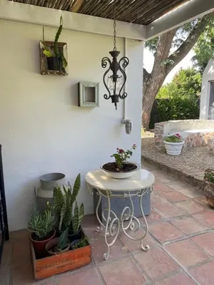 a patio with a table with plants and a chandelier at 13 On Vigne in Greyton