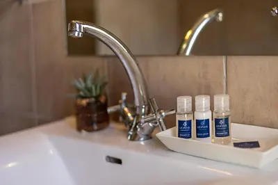 a bathroom sink with three bottles ofodorizers on it at Leipzig Country House & Winery in Nuy