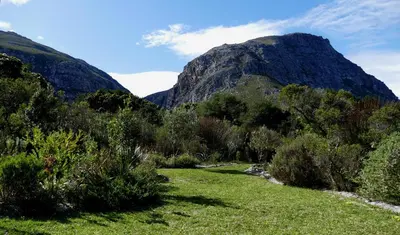 a mountain in the middle of a green field at Cuckoo's Corner in Bettyʼs Bay