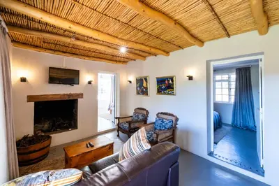 a living room with a couch and a fireplace at Dorpsig Cottage in Paarl