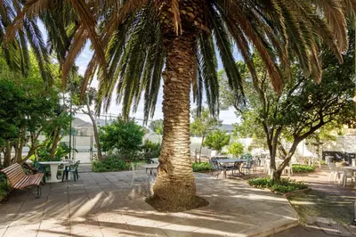 a palm tree in a park with tables and chairs at Seaside Sunsets in Strand