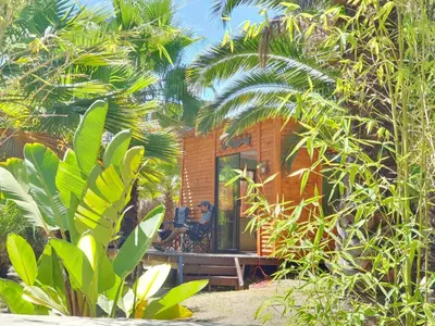 a man sitting on the porch of a wooden house at The Farmhouse Palm Tree Cabin in Stellenbosch