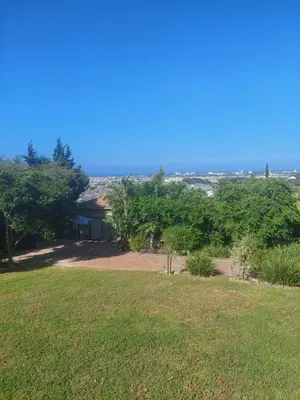 a view of a yard with grass and trees at Sophia’s Cottage in Cape Town
