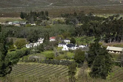 an aerial view of a house in a vineyard at Wildekrans Country House in Botrivier
