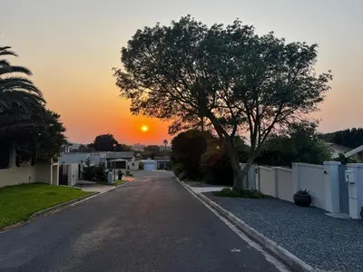 an empty street with a tree and a sunset at the Vine in Cape Town