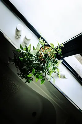 a plant sitting on top of a window sill at Spacious beachfront Townhouse w garage, Blouberg in Bloubergstrand