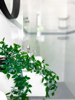 a green plant sitting on top of a bathroom sink at Spacious beachfront Townhouse w garage, Blouberg in Bloubergstrand
