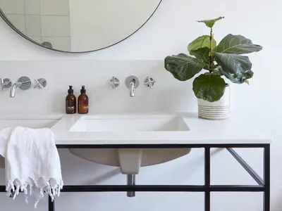 a bathroom sink with a potted plant and a mirror at Fransmanskraal Accommodation - Luxury Stellenbosch Farm Villa in Stellenbosch