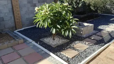 a small palm tree in a garden with gravel at Durbanville Luxury Living Private Room in Durbanville