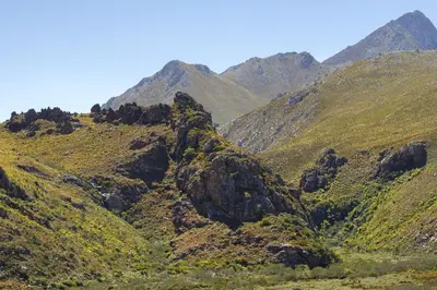 a view of a mountain with green vegetation at Hytte Riverview in Rooiels