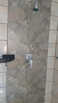 a shower stall with a design of leaves on a wall at Stay at Gabby's- no loadshedding in Cape Town