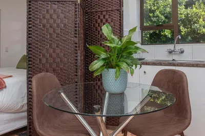 a glass table with chairs and a vase with a plant at Apartment in Milnerton close to Woodbridge Island in Cape Town