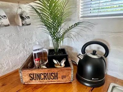a black tea kettle and a potted plant on a counter at Seaview on 2822 Happy Whale Cottage in Bettyʼs Bay