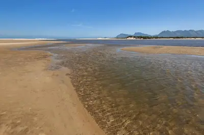 a beach with rocks and water on the shore at The Blue Cabin in Fisherhaven