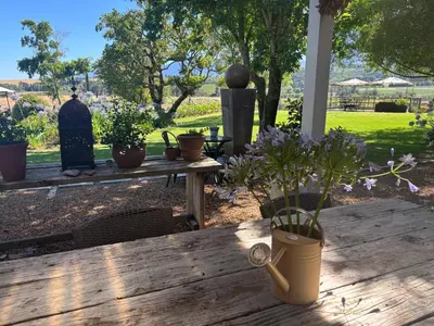 a wooden table with potted plants on top of it at In the Vine Country Manor Guesthouse in Stellenbosch