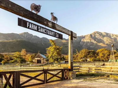 Gallery image of Extraordinary Barn Loft at Animal Sanctuary in Franschhoek