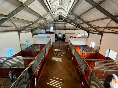 a large barn with cows in stalls in it at World of Horses Stables in Stellenbosch